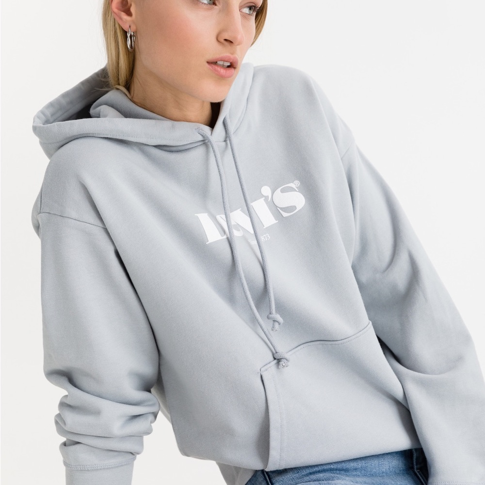 Levi’s standard logo pullover hoodie
